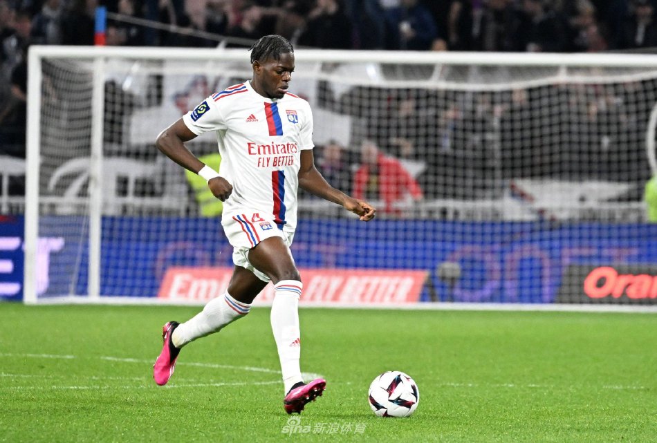 经验丰富的 经验丰富的